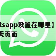 【whatsapp设置在哪里】whatsapp聊天页面